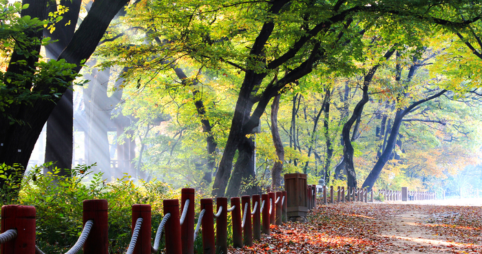 숲과벗 이미지