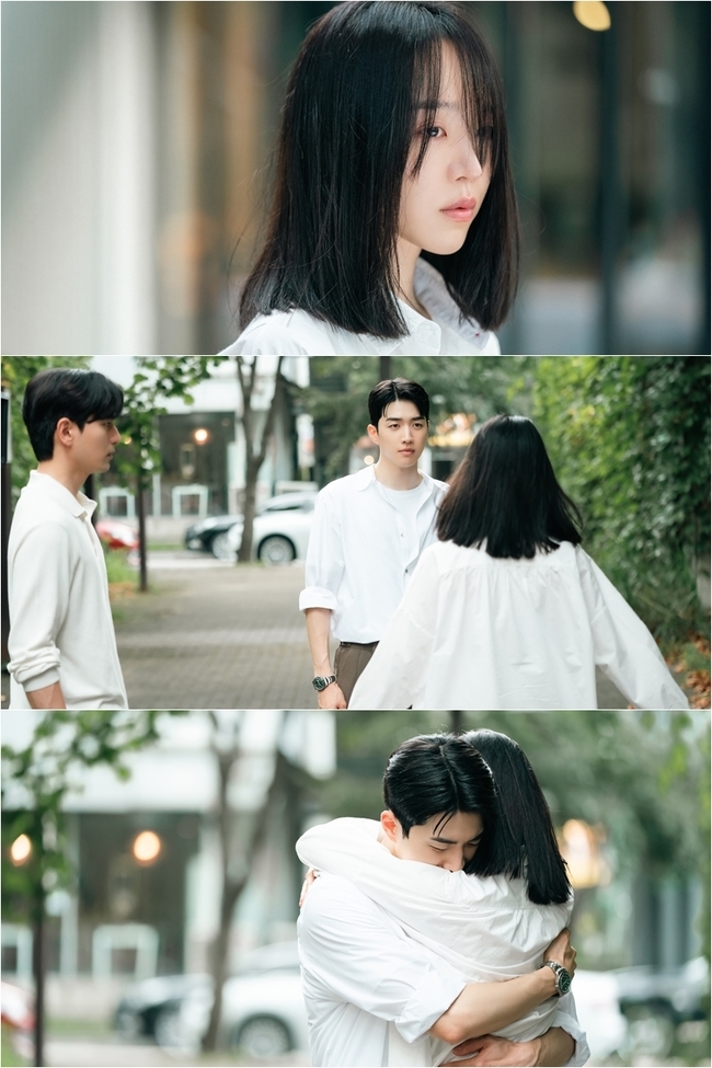 해리 이미지