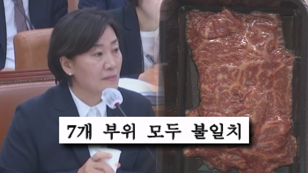 [단독] 국감서 선물 받은 1++ 한우…DNA 분석 결과 모두 가짜 - kakaoTV [단독] 국감서 선물 받은 1++ 한우…DNA 분석 결과 모두 가짜