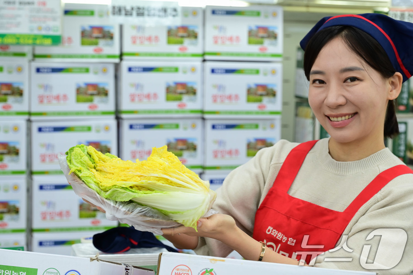 대관령원예농협 하나로마트 이미지
