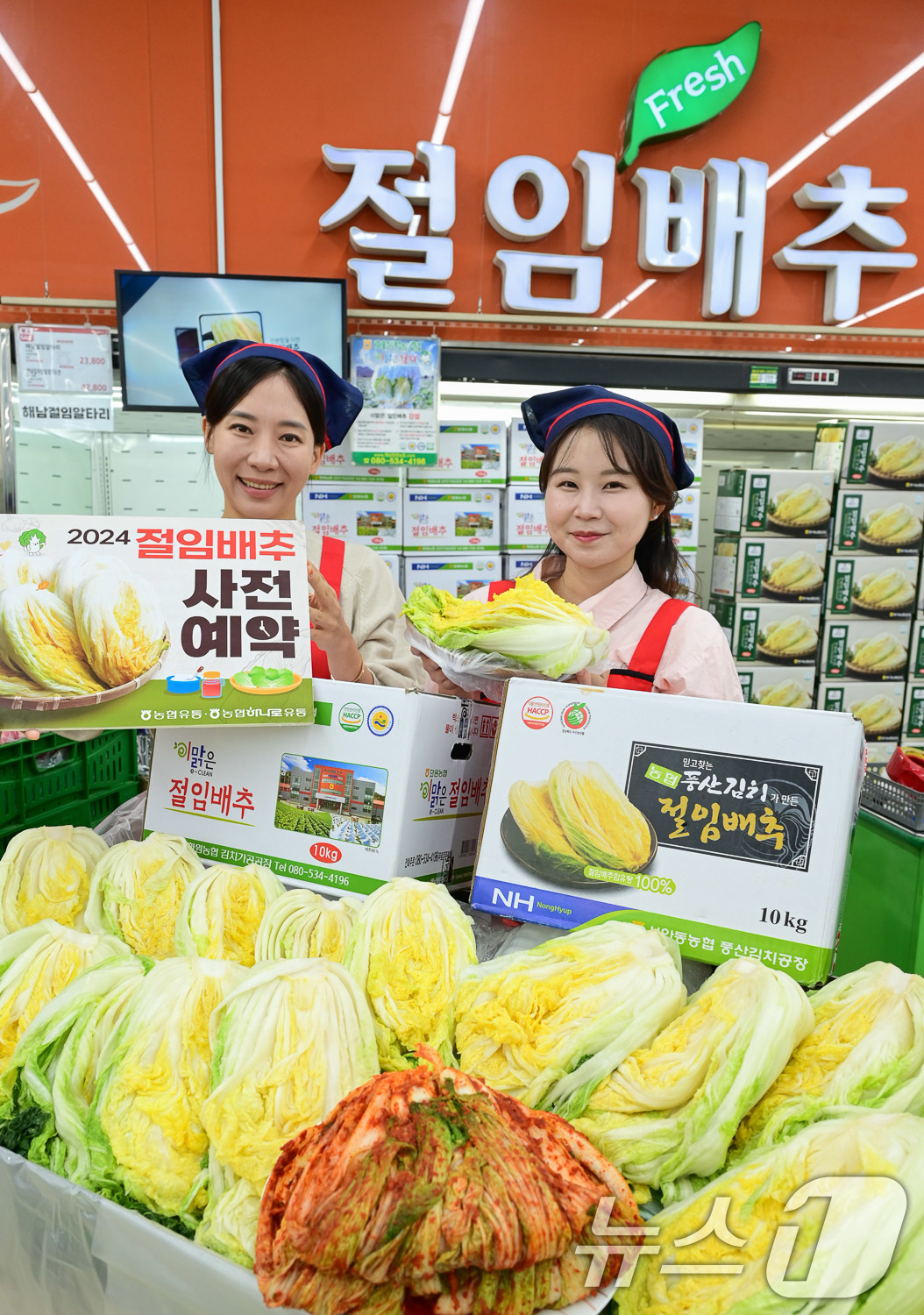 대관령원예농협 하나로마트 이미지
