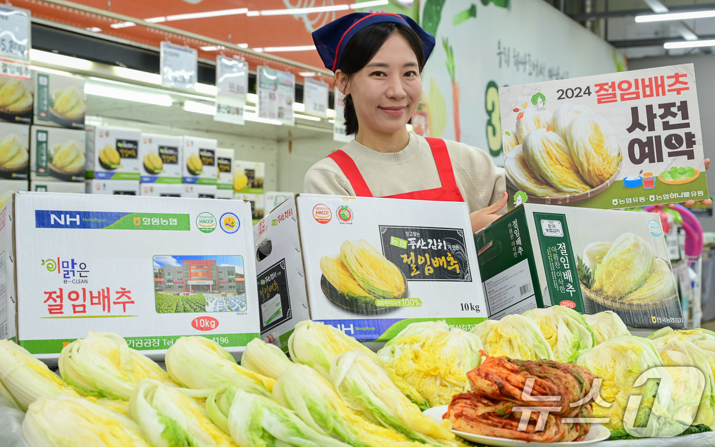대관령원예농협 하나로마트 이미지