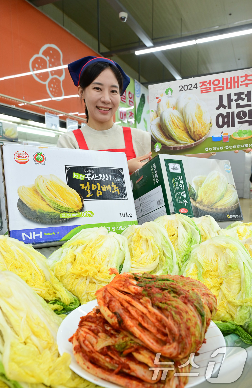 대관령원예농협 하나로마트 이미지