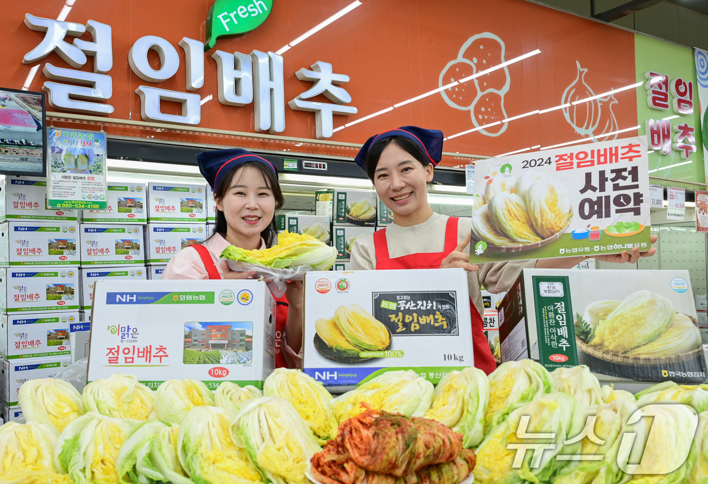 대관령원예농협 하나로마트 이미지