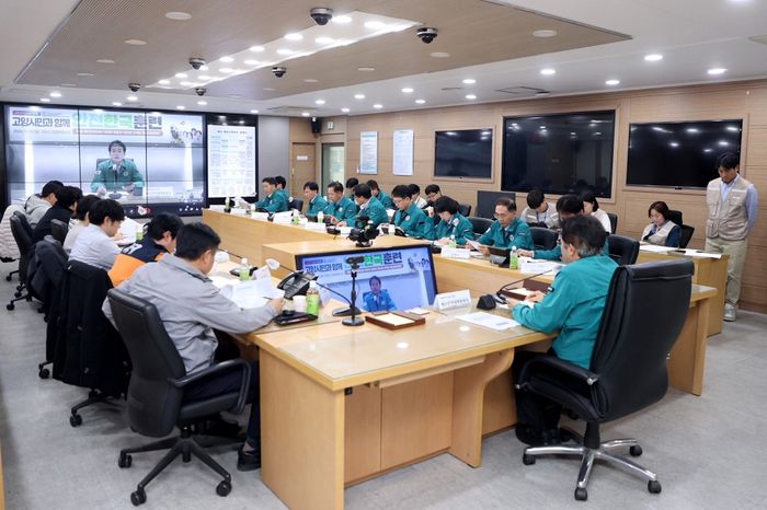 고양고양 이미지