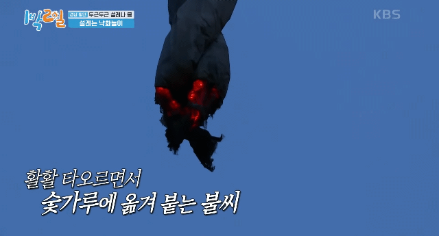 한국 전통 불꽃놀이, 낙화놀이 근황 | 인스티즈 한국 전통 불꽃놀이, 낙화놀이 근황 한국 전통 불꽃놀이, 낙화놀이