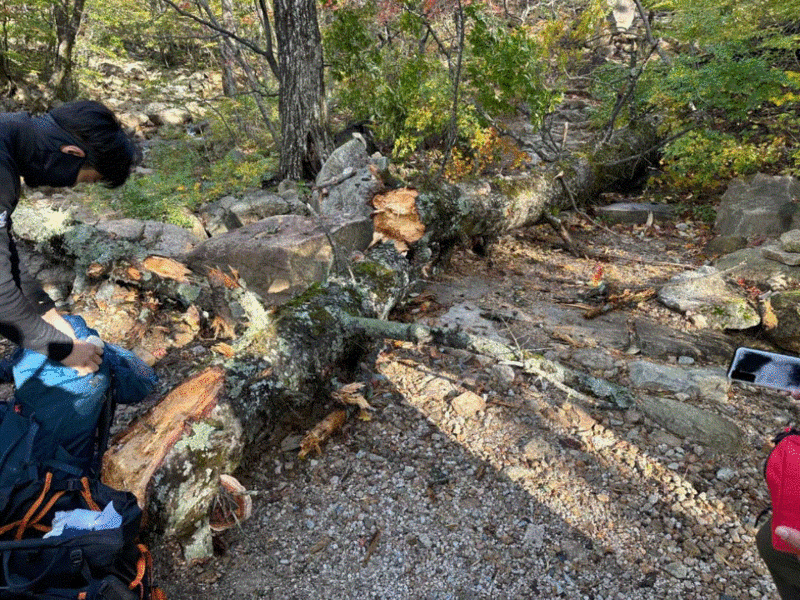 강원특별자치도소방본부 제공