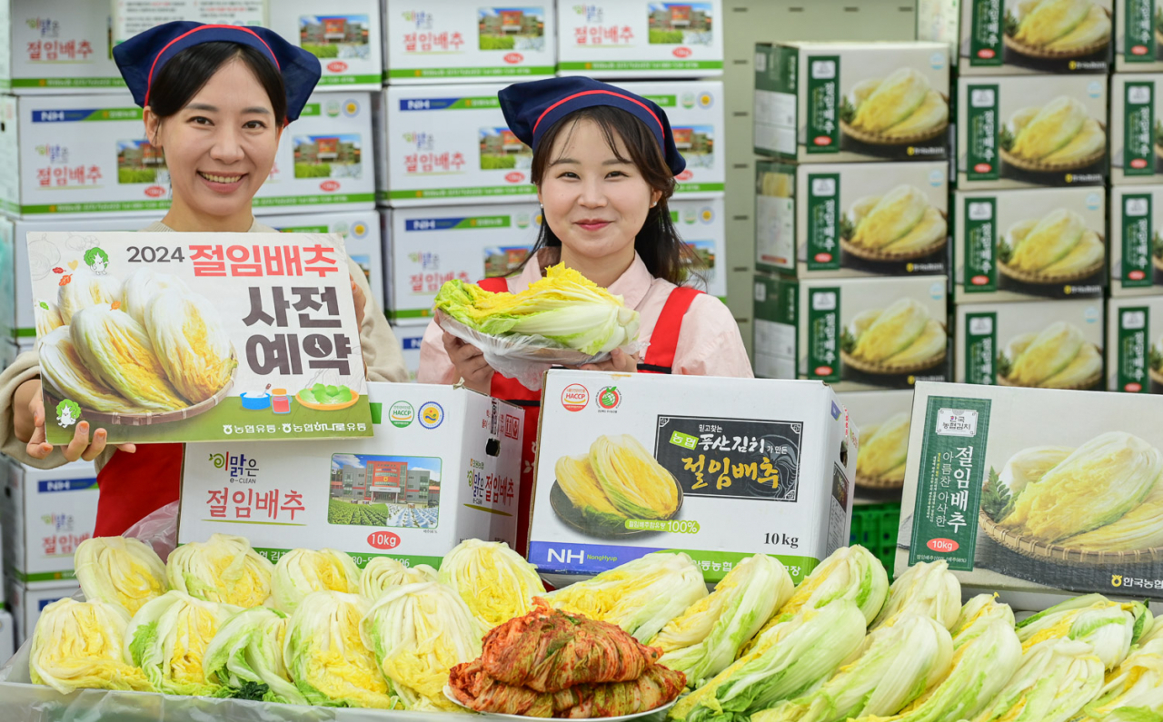 대관령원예농협 하나로마트 이미지
