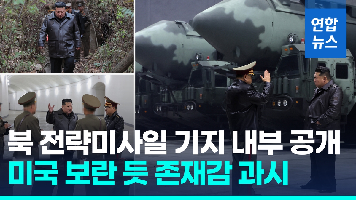 수풀 이미지