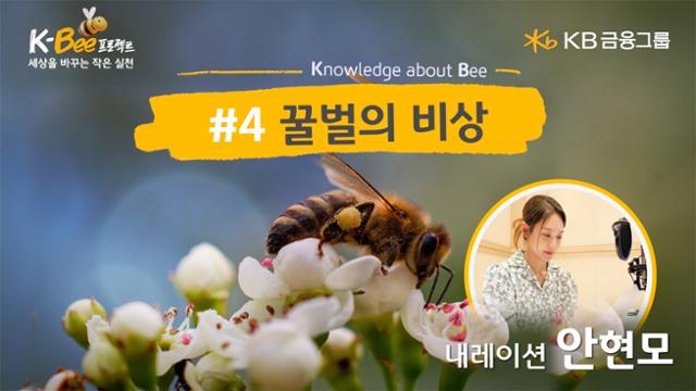 꿀벌어린이집 이미지