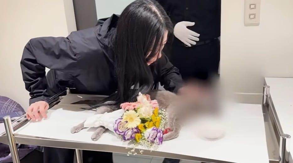 다나서비스 이미지
