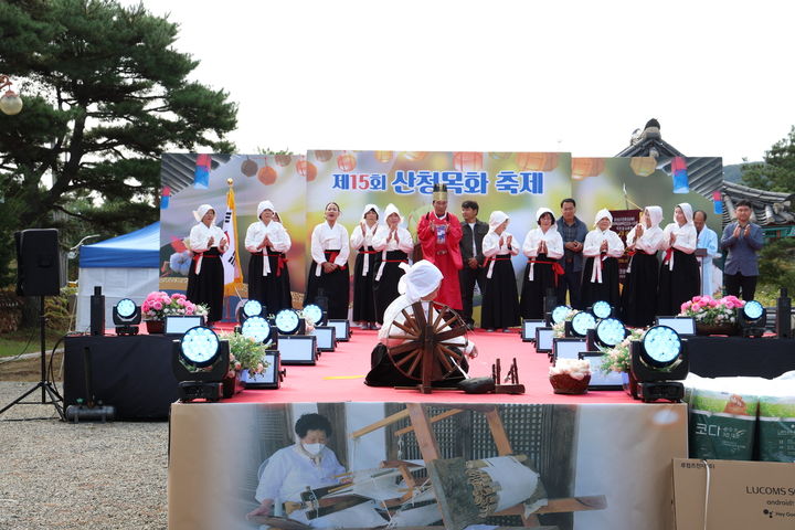목화 이미지