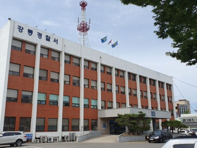 롯데시네마강릉 이미지