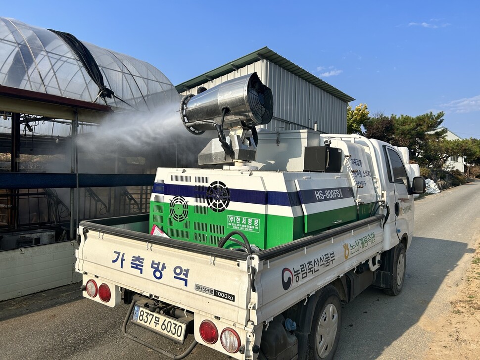 럼피 이미지