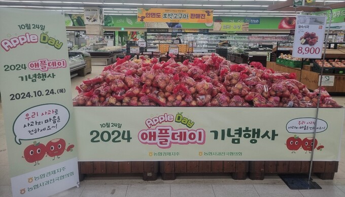 데이지주 이미지