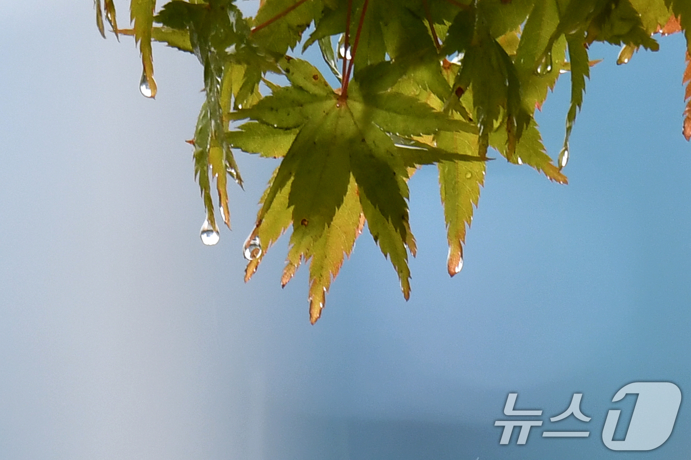 (주)영동환경 이미지