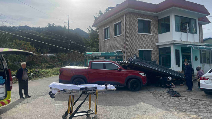 정자네 이미지