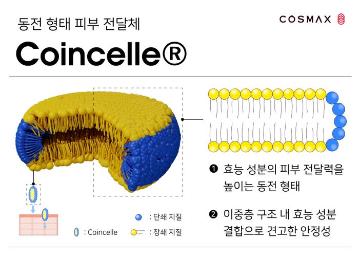 셀루 이미지