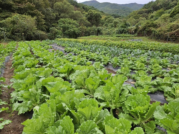 한국학생여행 이미지