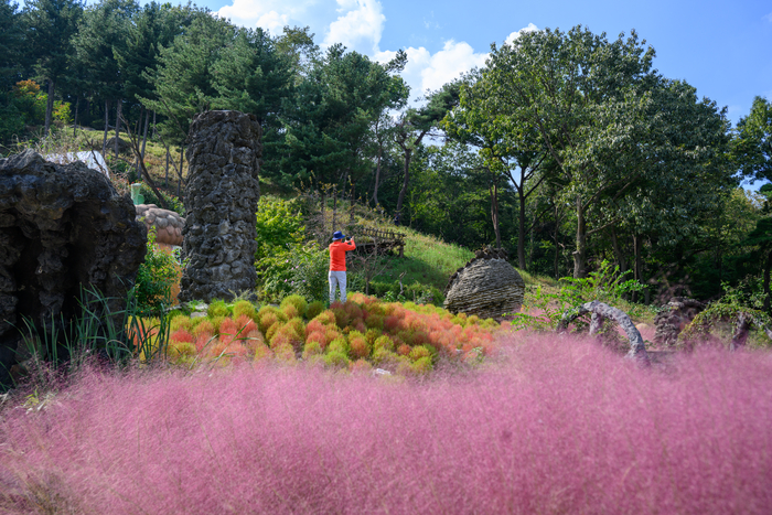 화.수.목(花.水.木 이미지