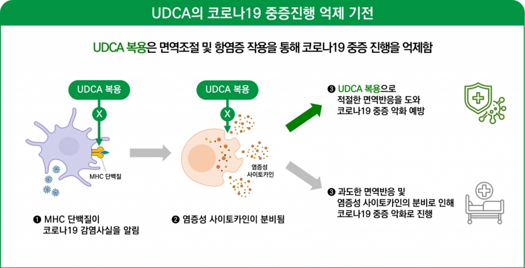 손민국 이미지