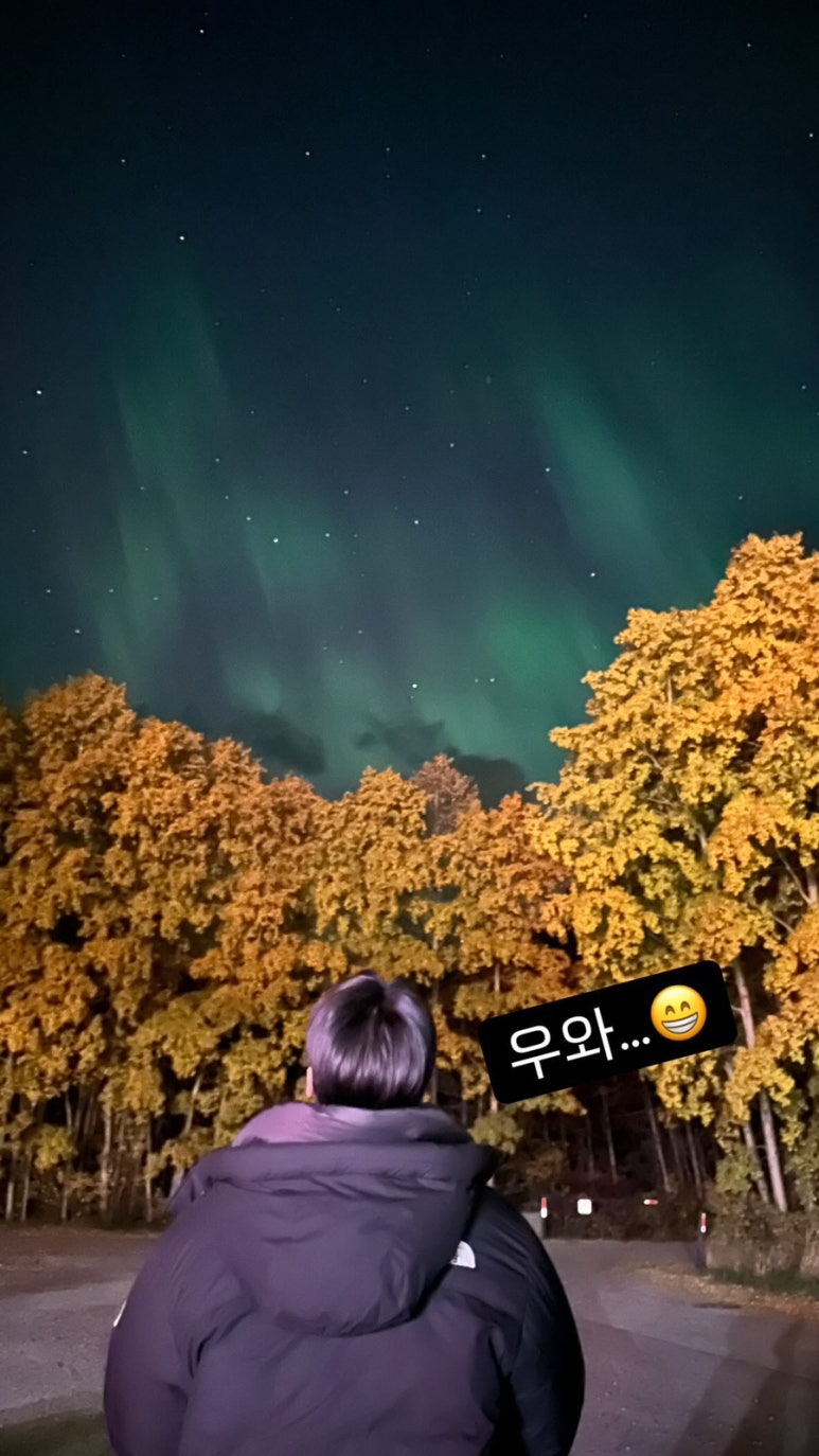 대자연장식 이미지