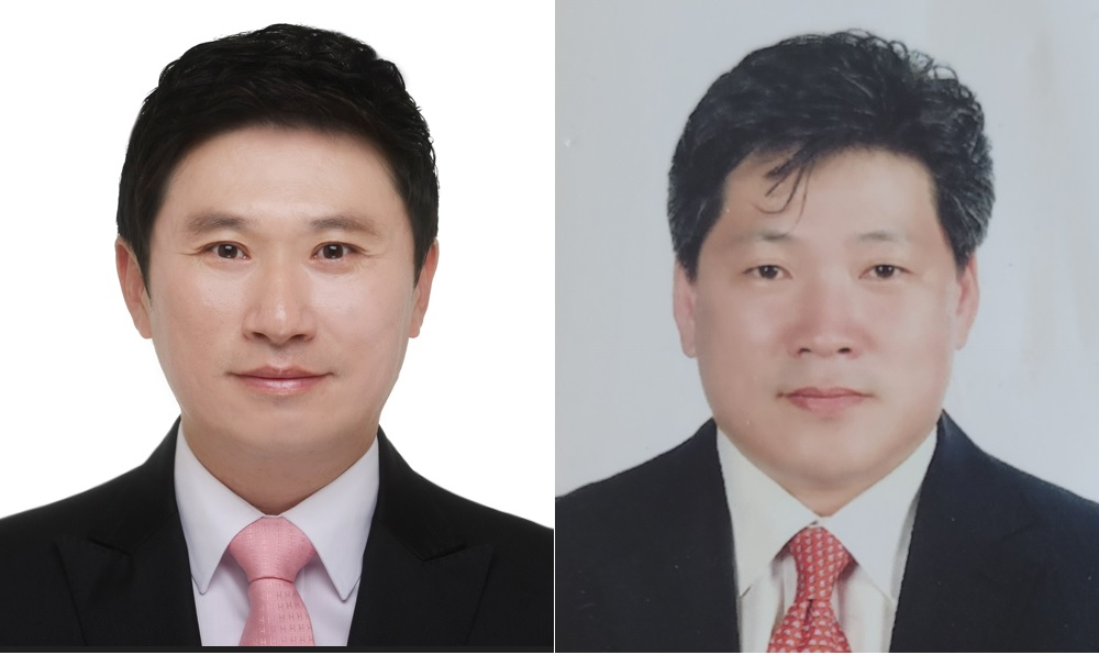 대보 이미지