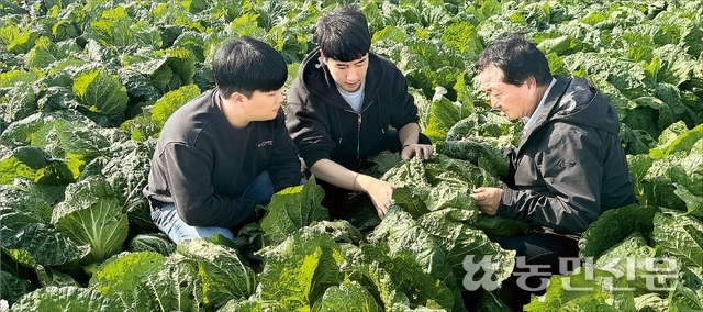 전북생강농업협동조합 이미지