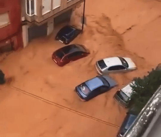 /사진= 소셜미디어(SNS) 'X' 캡처