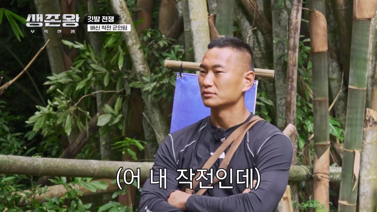 촉 이미지