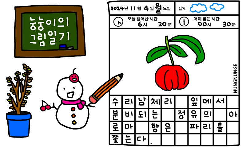 체리아로마 이미지