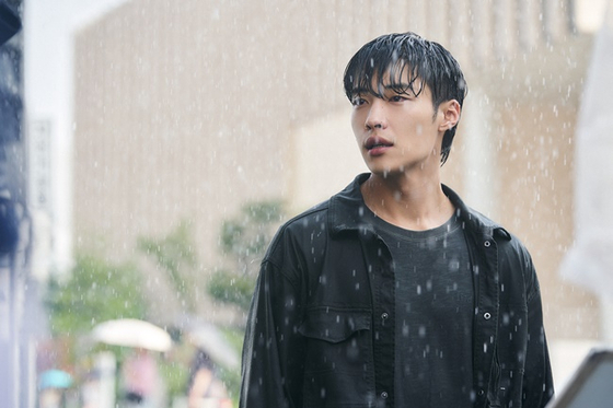 플랑크톤 이미지