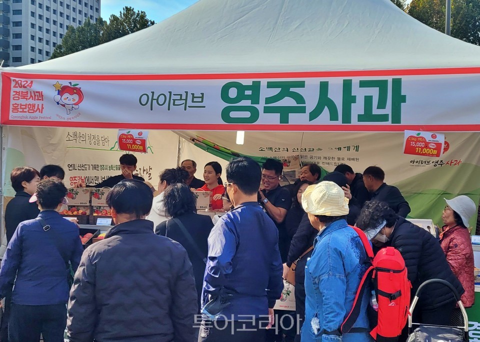 (주)조아투어 이미지