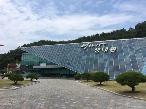 태화강 이미지