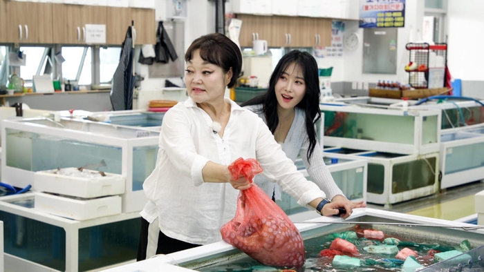 아리랑카 이미지