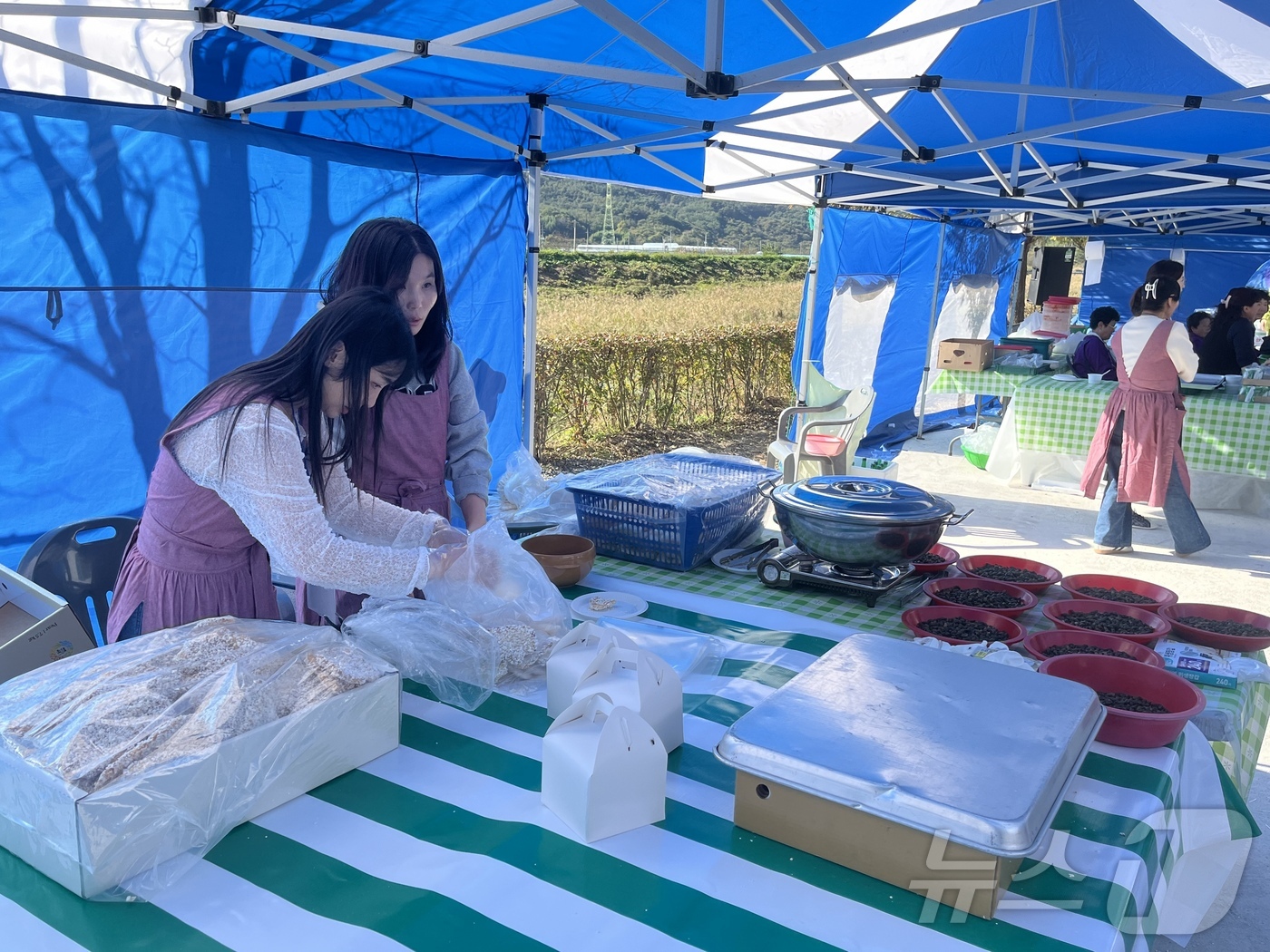 다슬기초량체험휴양 이미지