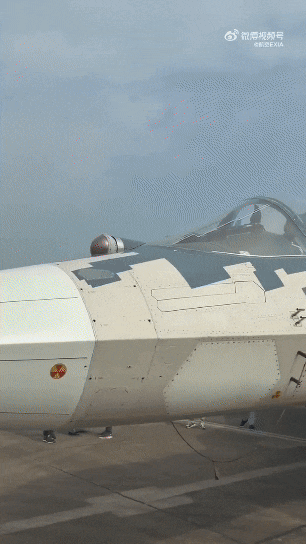 러시아 전투기 Su-57 외관. /X(옛 트위터)