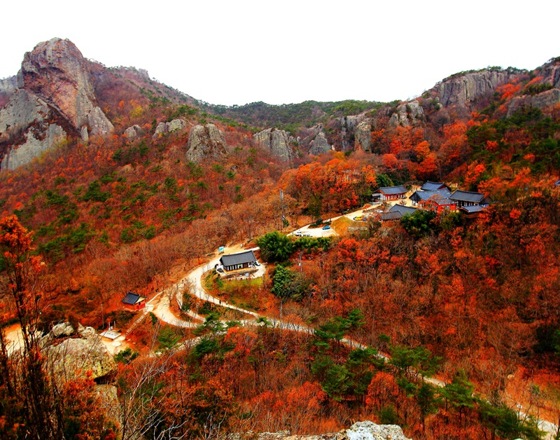 단풍 이미지