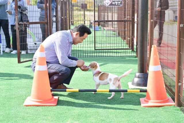 지오종합개발 이미지