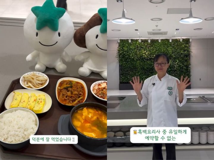 대가 이미지