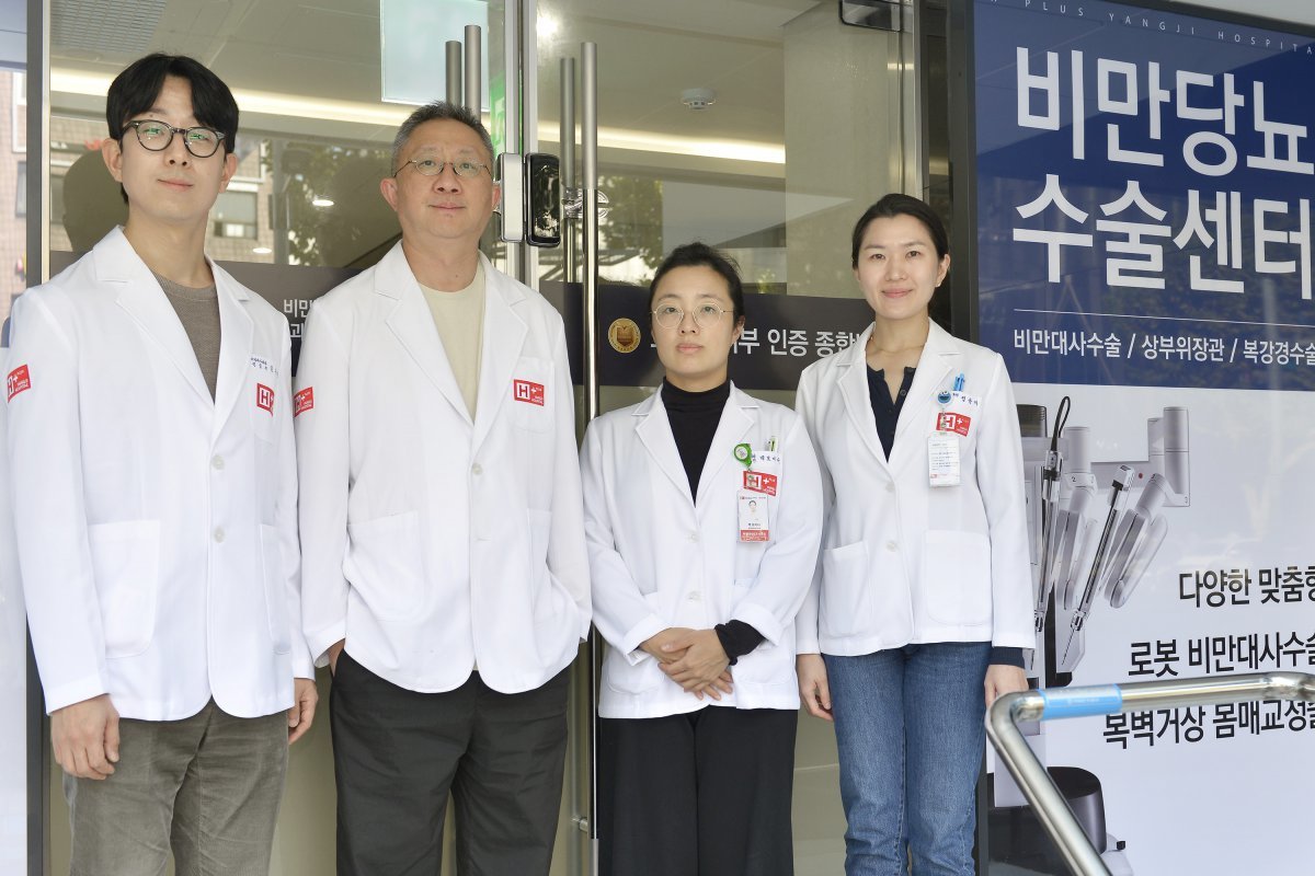 양지 이미지