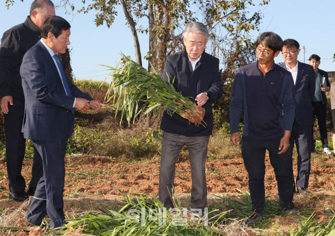 전북생강농업협동조합 이미지