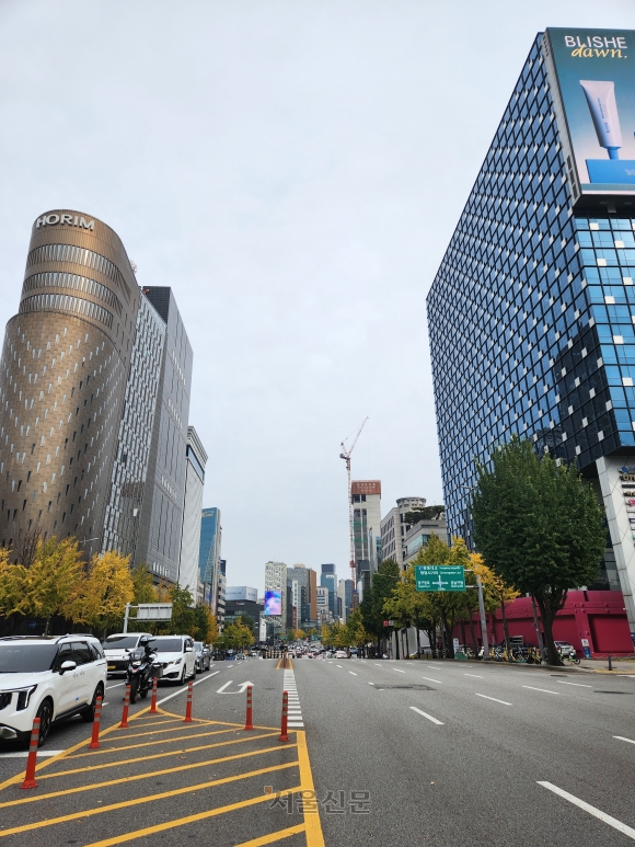 도산대로 이미지