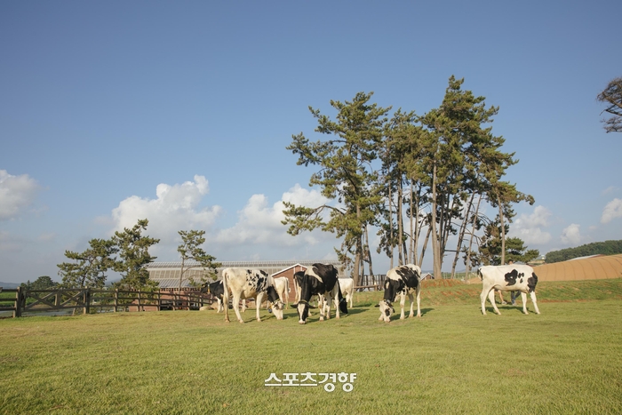 목장 이미지