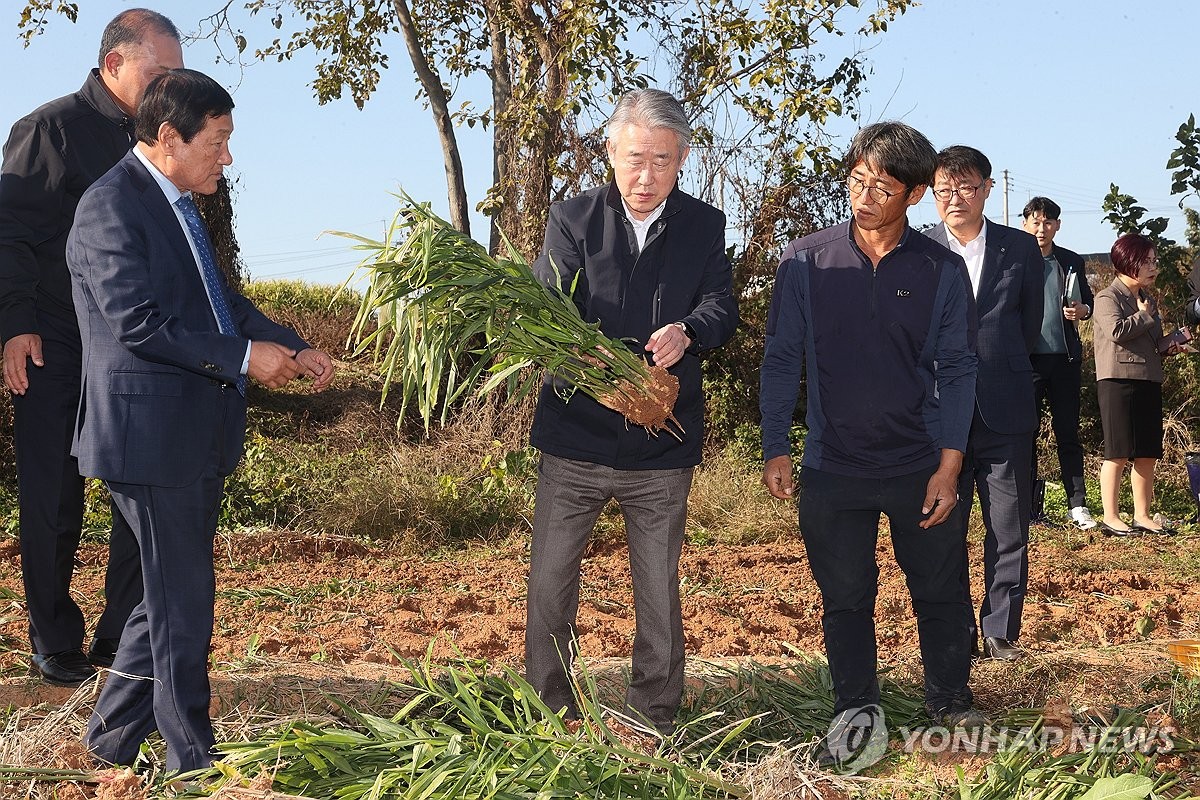 전북생강농업협동조합 이미지