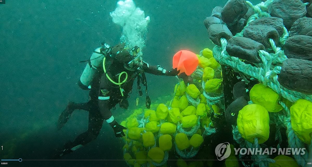 금성호 이미지