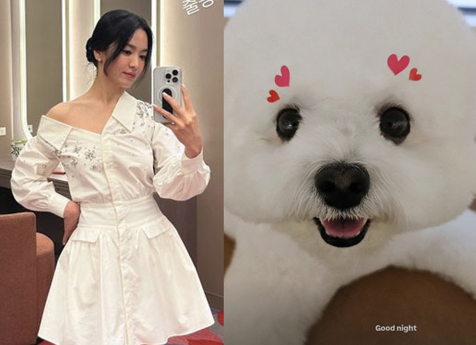 잠꾸러기 이미지