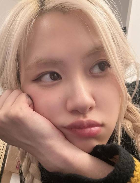 로제 이미지