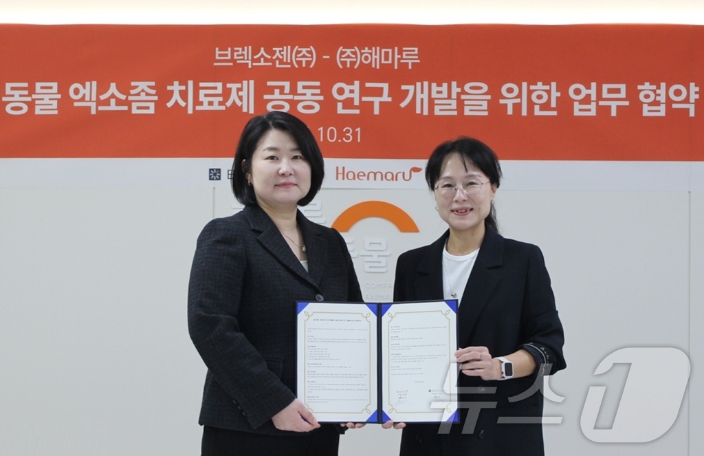 주식회사 해마루 이미지