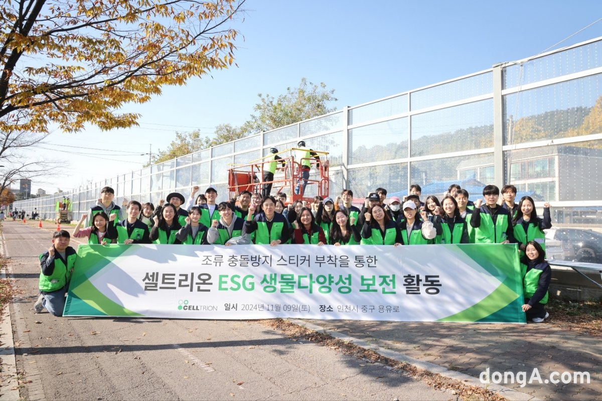 일환 이미지